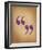 Quote Marks-Jeanne Stevenson-Framed Giclee Print