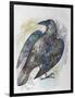 Quoth the Raven-Oxana Zaika-Framed Giclee Print