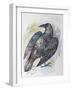 Quoth the Raven-Oxana Zaika-Framed Giclee Print