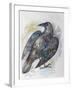 Quoth the Raven-Oxana Zaika-Framed Giclee Print