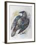 Quoth the Raven-Oxana Zaika-Framed Giclee Print