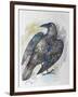 Quoth the Raven-Oxana Zaika-Framed Giclee Print