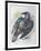 Quoth the Raven-Oxana Zaika-Framed Giclee Print