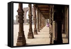 Qutub Complex, UNESCO World Heritage Site, Delhi, India, Asia-Balan Madhavan-Framed Stretched Canvas