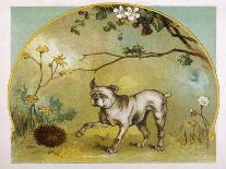 Bulldog with Hedgehog-R. Andre-Framed Art Print
