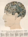 Phrenological Head-R.b.d. Wells-Stretched Canvas