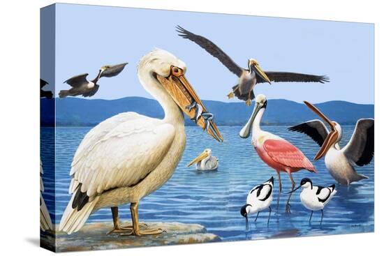 Stretched Canvas Print, , large