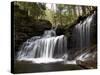 R.B. Ricketts Falls, Ricketts Glenn State Park, Pennsylvania, USA-James Hager-Stretched Canvas