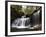 R.B. Ricketts Falls, Ricketts Glenn State Park, Pennsylvania, USA-James Hager-Framed Photographic Print