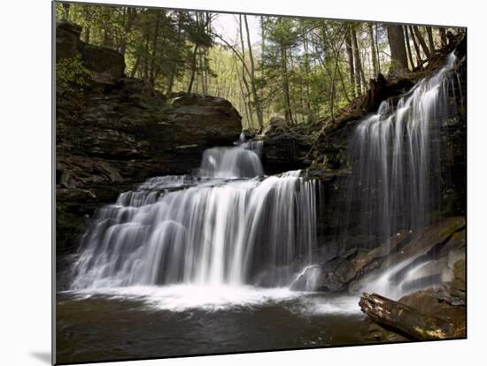 R.B. Ricketts Falls, Ricketts Glenn State Park, Pennsylvania, USA-James Hager-Mounted Photographic Print