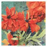 Summer Poppies II-R. Collier-Morales-Stretched Canvas