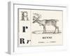 R for Reindeer, 1850 (Engraving)-Louis Simon (1810-1870) Lassalle-Framed Giclee Print