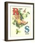 R for Robin, S for Swing-null-Framed Art Print