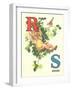 R for Robin, S for Swing-null-Framed Art Print