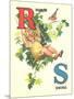 R for Robin, S for Swing-null-Mounted Art Print