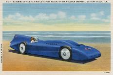 The Bluebird 5-R.H. Le Sesne-Framed Stretched Canvas