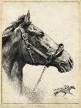 Gallant Fox-R.H. Palenske-Laminated Art Print
