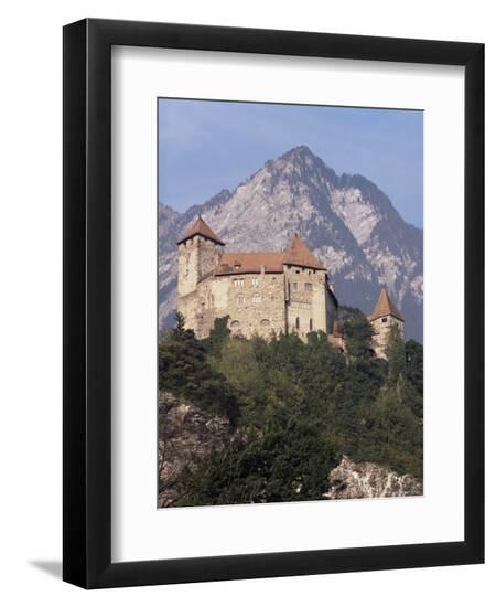 Premium Photographic Print, , large