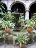 One of Many Lovely Garden Courtyards in Old Havana, Havana, Cuba, West Indies, Central America-R H Productions-Photographic Print