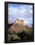 Essential Black
