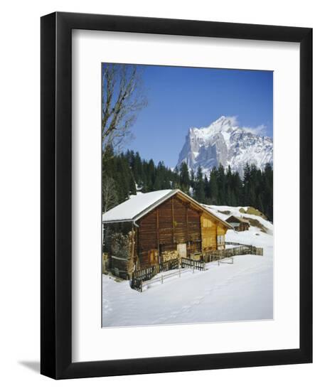 Premium Photographic Print, , large