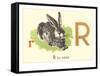 R is for Rabbit-null-Framed Stretched Canvas
