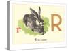 R is for Rabbit-null-Stretched Canvas