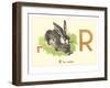 R is for Rabbit-null-Framed Art Print