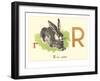 R is for Rabbit-null-Framed Art Print