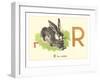 R is for Rabbit-null-Framed Art Print