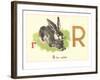 R is for Rabbit-null-Framed Art Print