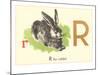 R is for Rabbit-null-Mounted Art Print