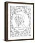 R is for Ranunculus-Heather Rosas-Framed Art Print