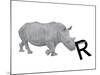 R is for Rhinoceros-Stacy Hsu-Mounted Art Print