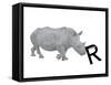 R is for Rhinoceros-Stacy Hsu-Framed Stretched Canvas