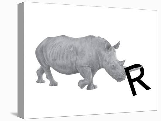 R is for Rhinoceros-Stacy Hsu-Stretched Canvas