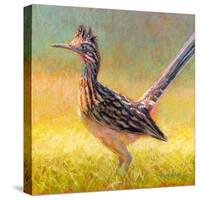 R is for Roadrunner-Rita Kirkman-Stretched Canvas