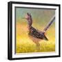 R is for Roadrunner-Rita Kirkman-Framed Art Print