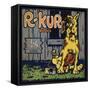 R Kur Brand - Riverside, California - Citrus Crate Label-Lantern Press-Framed Stretched Canvas