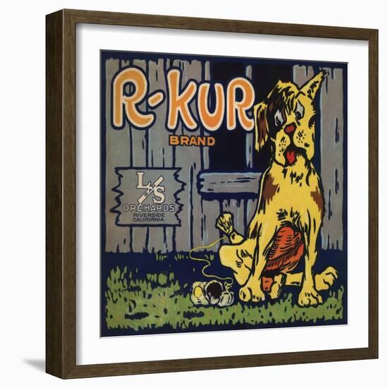 R Kur Brand - Riverside, California - Citrus Crate Label-Lantern Press-Framed Art Print