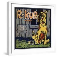 R Kur Brand - Riverside, California - Citrus Crate Label-Lantern Press-Framed Art Print