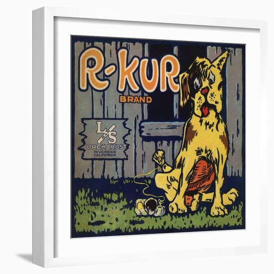 R Kur Brand - Riverside, California - Citrus Crate Label-Lantern Press-Framed Art Print