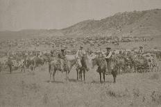 Cowboys Herding Cattle-R.M. Davis-Framed Art Print