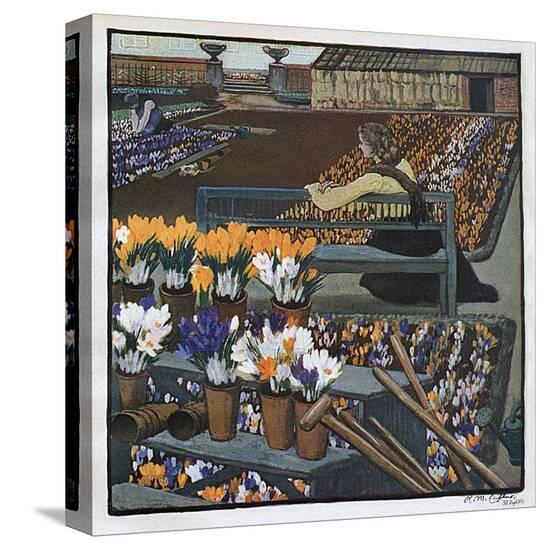 Stretched Canvas Print, , large