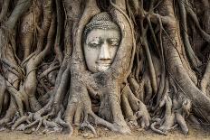 Head of Buddha Statue in the Tree Roots, Ayutthaya, Thailand-R.M. Nunes-Framed Photographic Print