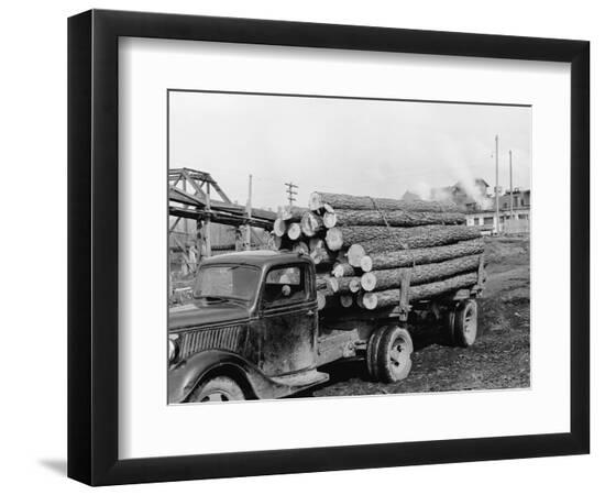 Premium Photographic Print, , large