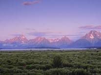 Grand Teton National Park, Wyoming, USA-R Mcleod-Photographic Print