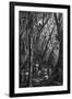 Gramercy Black