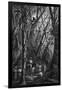 Gramercy Black