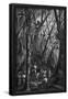 Essential Black